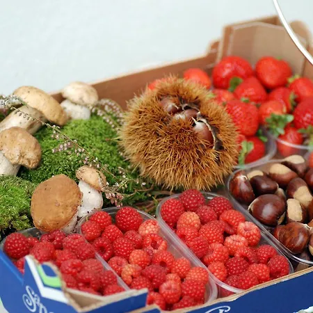 住宿加早餐酒店 潘迪住宿加早餐旅馆 Peveragno