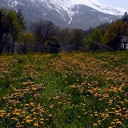 潘迪住宿加早餐旅馆 住宿加早餐酒店 3*